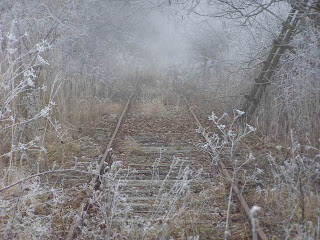 PC270125.jpg