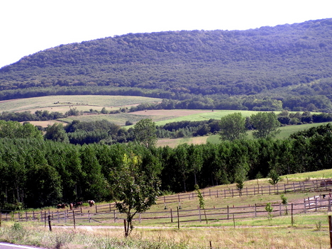 28580_567063_n.jpg