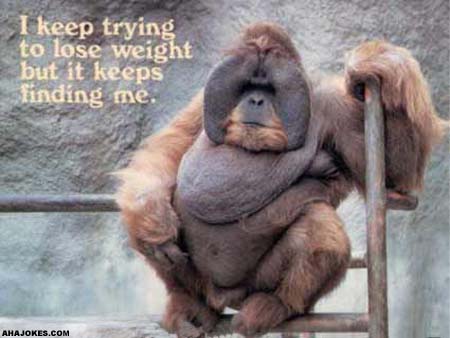 weightproblems.jpg