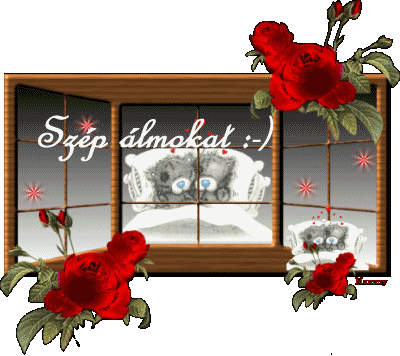 www.tvn.hu_f4c202e48cdb6fe87429c694b53cf7d0.gif