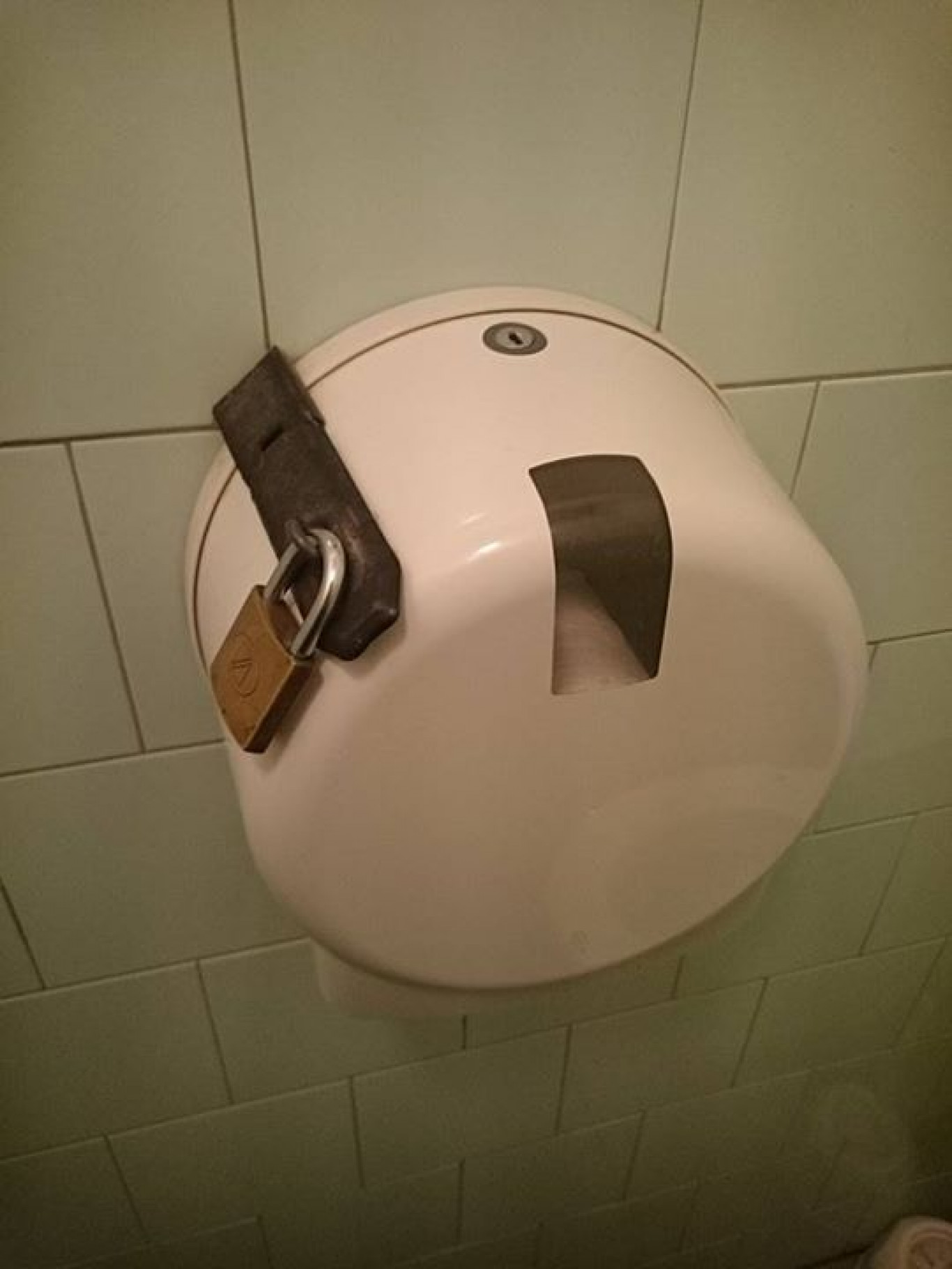 6mqoYYOtzbm68iBcs.jpeg