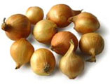 allium_cepa3.jpg