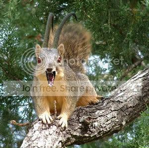 Demon_Squirrel.jpg