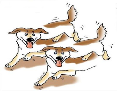 dogs-optical-illusions.jpg