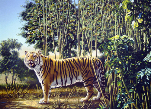illusion-optique-the-hidden-tiger.jpg