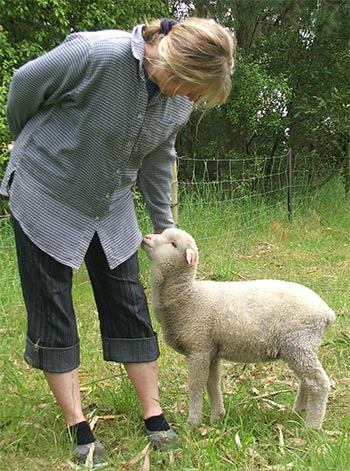 pet-lamb-gardener.jpg