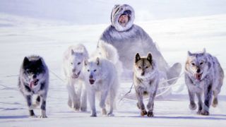inuit-320x180.jpg