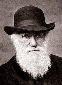 250px-Charles_Darwin_1880.jpg